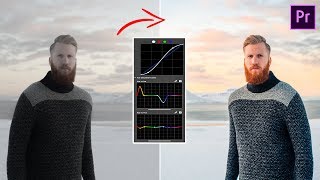 MASTER TONE CURVES in PREMIERE PRO | How to Color Grade with Tone Curve