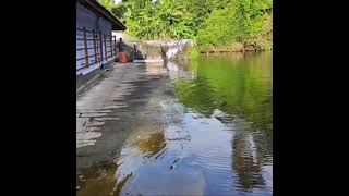 കുളത്തിന്റെ ഉള്ളിലെ ശിവ പ്രതിഷ്ഠ| siva temple inside pond #shorts #youtubeshorts #reels #trening