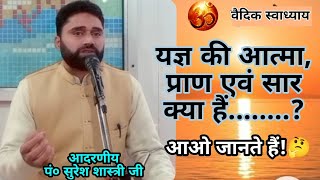 यज्ञ की आत्मा, प्राण एवम् सार क्या है? #HAWAN #viral #trending #vaidikswadhyay