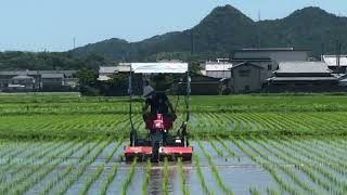 みのる高効率水田除草機の自動操舵による多数回中耕除草