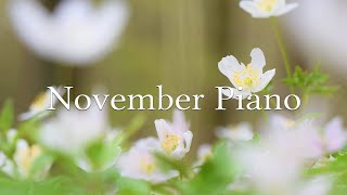 11월의 아름다운 날씨를 부드러운 피아노 선율로 느껴보세요. | 𝐓𝐇𝐄 𝐏𝐈𝐀𝐍𝐎