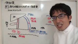 かんたん薬理学　便秘薬・止瀉薬・制吐薬