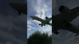 頭上を787が通過する恐怖映像 #飛行機 #伊丹空港千里川土手 #千里川土手 #撮り飛行機