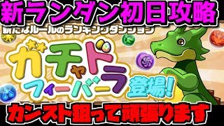 🚀ガチャドラフィーバー！ 新イベント初日からカンストさせて王冠取ります！現在999999点【パズドラ】