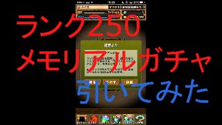 [パズドラ]ランク250メモリアルガチャ引いてみた！