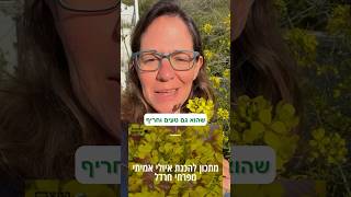 מתכון מצולם לאיולי פרחי חרדל - גם טעים וגם מעולה לסובלים מנזלת, סינוסיטיס ואף סתום