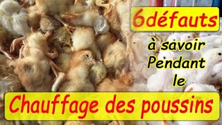 Chauffage des poussins, Six défauts à savoir pendant le chauffage @ceaservices5692