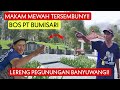 MAKAM TERSEMBUNYI BOS PERKEBUNAN CENGKEH PT BUMISARI BANYUWANGI! Berada di Lereng Gunung Banyuwangi!