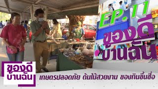 รายการของดีบ้านฉัน EP.11 ตอน เกษตรปลอดภัย ต้นไม้สวยงาม ของกินขึ้นชื่อ ออกอากาศ 25 มีนาคม 2564