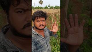 🍀நாட்டு பாகற்காய் முதல் விளைச்சல் பாஸ் #village #agriculture #support #mychannel #subscribe #life