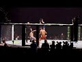 Ilia Topuria Knockout vs Max Holloway LIVE (UFC 308)