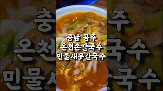 [공주 맛집] 충남 공주 칼국수 맛집 온천손칼국수의 민물새우칼국수