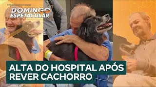 Idoso tem alta na UTI após receber visita de cachorrinha de estimação