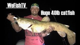 Catching huge 40lb catfish!!