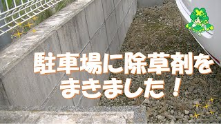 【広報委員会】職員駐車場に除草剤を散布しました！