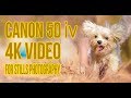 Canon 5d iv 4K Video Photo Review