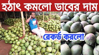 এই প্রথম চরমভাবে কমলো ডাবের দাম। Coconut price in Bangladesh ! ডাবের পাইকারি বাজার 2022