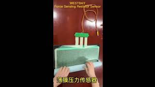 Westbay thin film flexible force sensing resistor sensor.