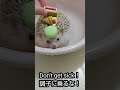 調子に乗るな☆🦔萌え萌え ウエイトレス moemoe waitress はりねずみ hedgehog ハリネズミ