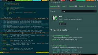Vim Language Tool Explained 2022_08_05_03:15:20