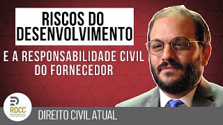 Responsabilidade civil do fornecedor pelos riscos do desenvolvimento: o dilema no Direito brasileiro