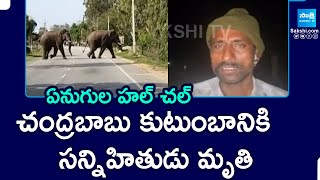 Elephant Gang Hulchul At Chandragiri | Naravaripalli Upa sarpanch | Tirupati | @SakshiTV