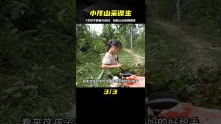 一條小人的奮斗路：7歲孩子上山采摘謀生的奇跡，詩意記錄解說