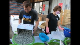 Ayuan  sold several boxes of larvae at one time.  Taiwan seafood auction