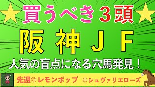 【2024 阪神ジュベナイルフィリーズ】２歳戦こそ穴狙え！阪神JF は穴馬本命で百万馬券を狙う！