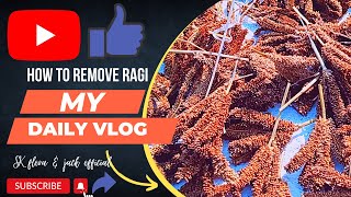 How to remove ragi // SK flora \u0026 jack official