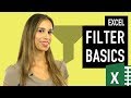 Excel Filter Basics (for quick data analysis)
