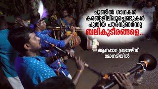 balikudeerangale nadaswaram | ബലികുടിരങ്ങളെ | anappara brothers nadaswaram | Grama Viseshangal |