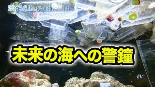 海洋ごみと生きものたち 日本財団 海と日本PROJECT in しまね 2021 #31