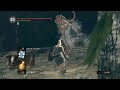 36【ダークソウル】ねこまろの「dark souls remasterd」初見プレイ【リマスタード】