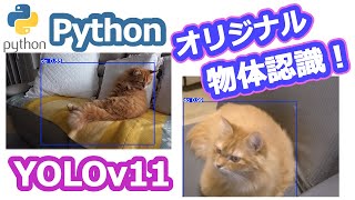 【Python】YOLOv11で独自画像を学習！〜アノテーションから学習手順まで詳しく解説！〜