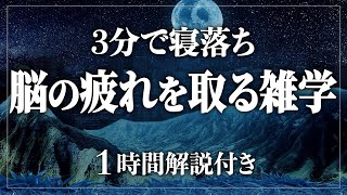 【睡眠導入/作業用】脳から癒す睡眠の雑学｜寝ながら賢くなる日常生活100の雑学1時間 ストレス緩和、疲労回復【BGMなし】【男性朗読】