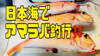 「丹後・甘鯛・アマラバ」旬の甘鯛をタイラバで狙いに！アマダイ撃釣！