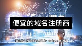 探索最实惠的域名注册商：Raksmart指南