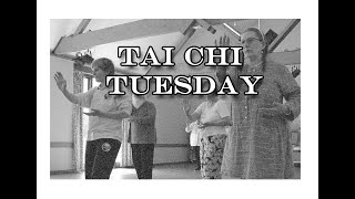 Week four for Tai Chi Tuesday -  beginner Yang style Tai Chi