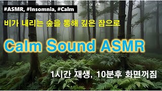 002. 조용한 빗소리로 꿀잠 | Ultimate Soothing Rain Forest ASMR | 1hr