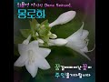 bonus track 김여사예요 가수 아라 1집 수록곡