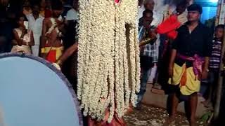 Kalokaodapalli Sri doddayallamma karaga