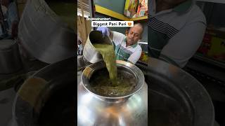 Biggest Pani Puri Of #indore #youtubeshortsindia #streetfood #ytshortsindia #shortsindia #panipuri