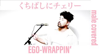 くちばしにチェリー / EGO-WRAPPIN' おっさんが歌ってみた