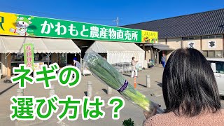 かわもと農産物直売所にまた行った！埼玉県深谷市