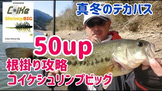 【バス釣り】コイケシュリンプビッグで50up 真冬の徳島オカッパリ