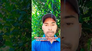 শিশুদের ঝরঝরে পরিষ্কারভাবে কথা বলতে শেখানো উচিত  #viralshort #trinting  #comedyvideos #trindinge