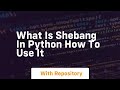 What is shebang in python how to use it