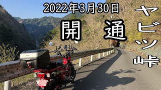 2022年 #ヤビツ峠 開通したので険道裏ヤビツから菜の花台までハンターカブで走破