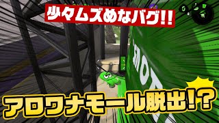 誰もが知ってるあのバグの先へ！アロワナモール脱出バグ！【スプラトゥーン２】